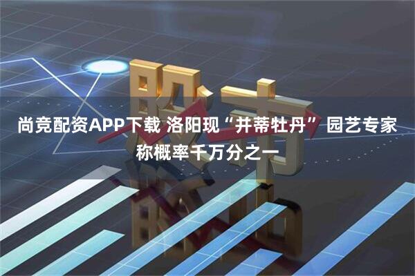 尚竞配资APP下载 洛阳现“并蒂牡丹” 园艺专家称概率千万分之一