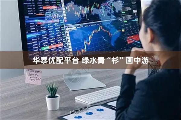 华泰优配平台 绿水青“杉”画中游