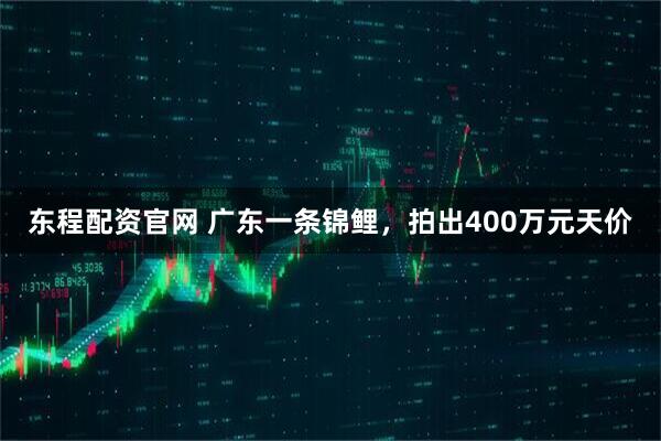 东程配资官网 广东一条锦鲤，拍出400万元天价
