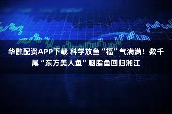 华融配资APP下载 科学放鱼“福”气满满！数千尾“东方美人鱼”胭脂鱼回归湘江
